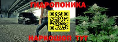 мяу мяу кристалл Ачхой-Мартан