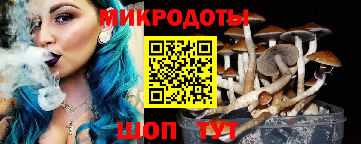 Галлюциногенные грибы мухоморы Десногорск