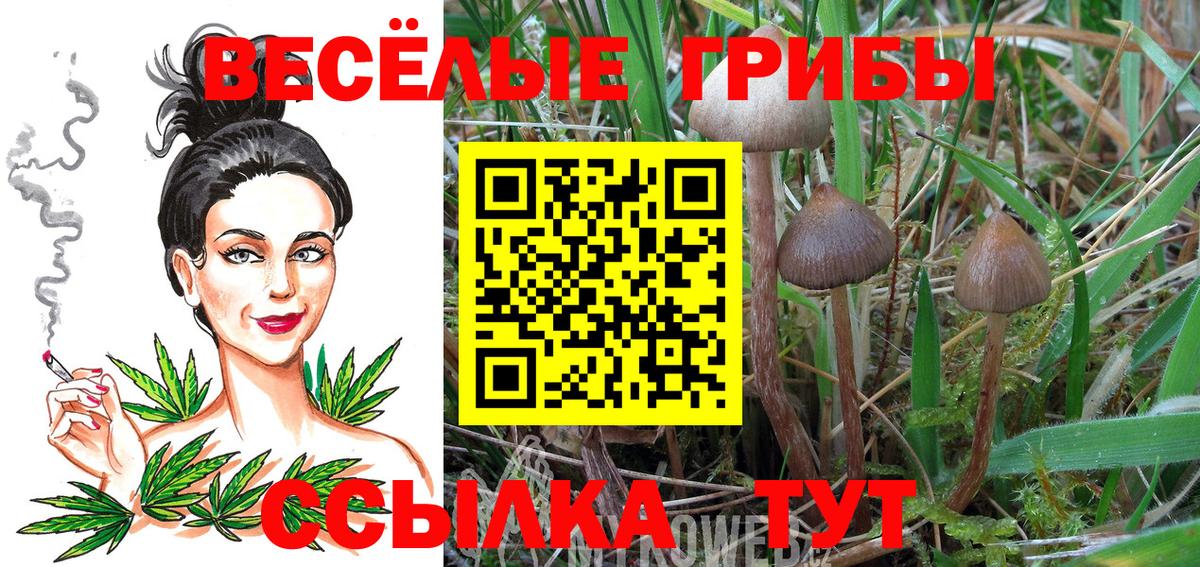 Галлюциногенные грибы Cubensis  Галлюциногенные грибы Psilocybe  Вход с VPN  Десногорск 